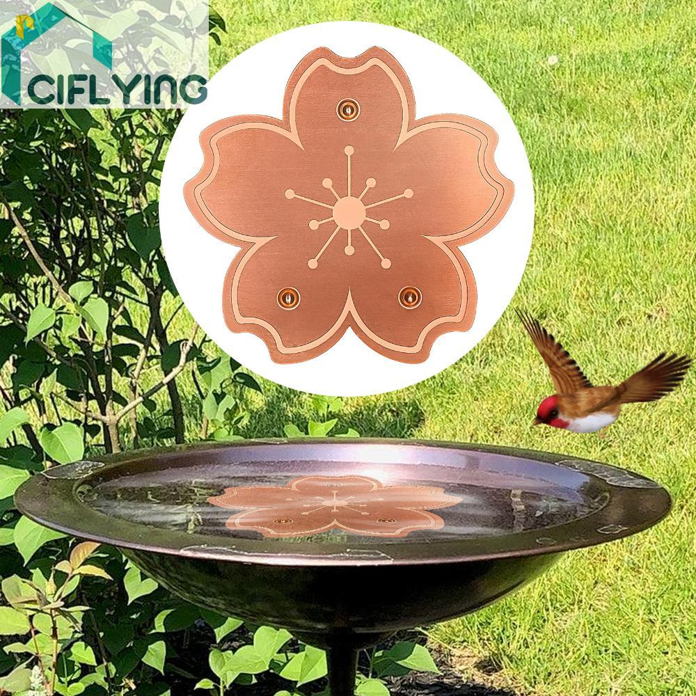 Bird Bath Copper Disk 0.8mm Copper Bird Bath Disk สําหรับกลางแจ้ง Birdbaths [Ciflying.th]