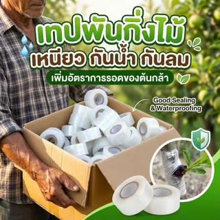 เทปพันกิ่งไม้ PE ยืดหยุ่นสูง-ติดเองได้ ไม่ต้องมัดเงื่อนให้เจ็บมือ แผลสนิทไว กิ่งติดชัวร์