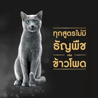 [40 ฟรี 8] SHEBA ชีบา อาหารเปียกแมวแบบซอง แมวโต ลูกแมว เลือกรสชาติได้ 70ก.