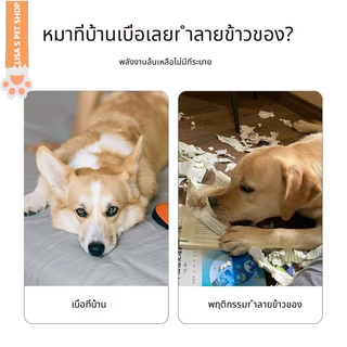ของเล่นสุนัข กระดาษเสียงจำลอง หนังสือพิมพ์ ไพ่เสียง มีเสียงรบกวน คลายเบื่อ ฝึกซ้อม แทะฟัน ทนทาน 🐶พร้อมส่ง