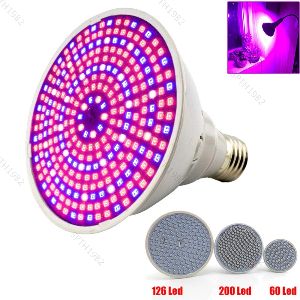 Led Plant Grow หลอดไฟโคมไฟสีแดงสีฟ้าไฟเรือนกระจกสําหรับดอกไม้ผักในร่มระบบไฮโดรโปนิกส์ E27 TH19B2