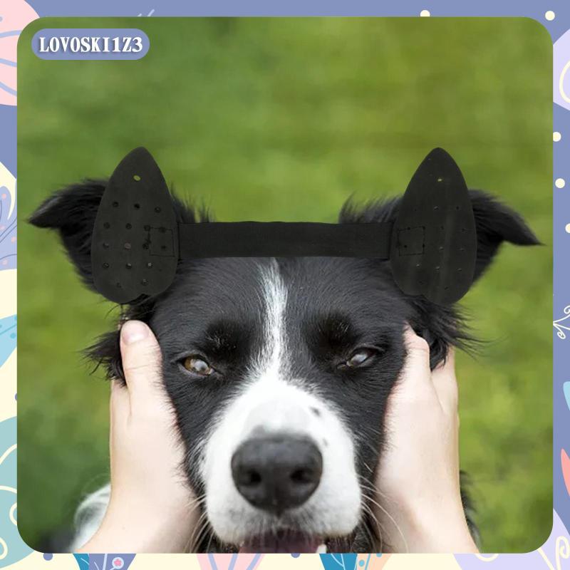 [lovoski1z3] Puppy ear CareStanding Tools Husky Doberman Pinscher เครื่องแก้ไขหูลูกสุนัข สีดํา 23x11