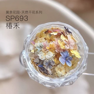 30แต่งเล็บดอกไม้แห้ง Monet Garden ประณีตห้ากลีบ วัสดุตกแต่งเล็บขนาดเล็ก