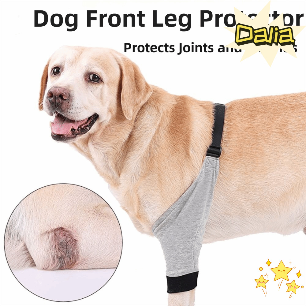 DALIA ฝาครอบขาด้านหน้า, สนับเข่า Joint Support Dog Elbow Protector, Premium Shoulder Support Pain Re