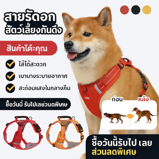 กันดึง สะท้อนแสง สายรัดอกสัตว์เลี้ยง/กันระเบิด หลายสี สายจูงสุนัข/ระบายอากาศได้ดี สะดวกสบาย เสื้อรัดอก