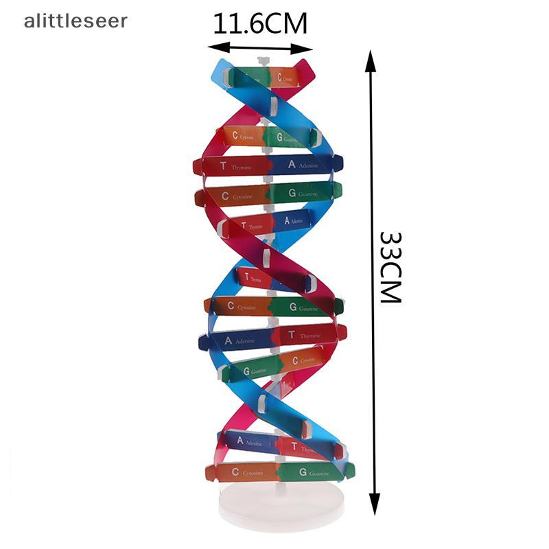 ER Human Genes DNA รุ่น Double Helix ของเล่นวิทยาศาสตร์การสอนการเรียนรู้การศึกษาของเล่น n