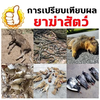 หัวเชื้อใช้ทำเหยื่อ กำจัดสัตว์ สูตรแรง เมโทรนิล 97% ไม่มีสี ไม่มีกลิ่น (100g.) ตะกวด แรทเนท methomyl แลนเนทแท้ นกพิราบ