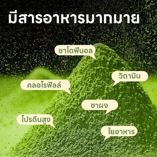 （แถมแก้วน้ำฟรี）ผงชาเขียวมัทฉะ แท้ 100% ผงมัทฉะ ออร์แกนิค (Organic Matcha Powder) ขนาด 180g ไม่ผสมแป้ง ไม่ผสมน้ำตาล