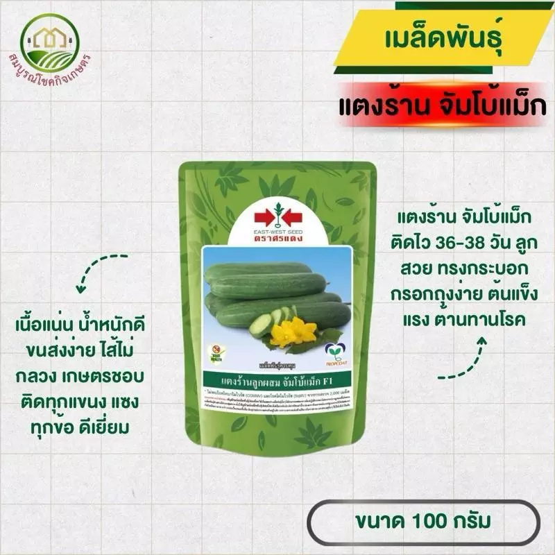 เมล็ดพันธุ์ แตงร้าน จัมโบ้แม็กซ์ ขนาด 100 กรัม ตราศรแดง ลูกสวย ทรงกระบอก กรอกถุงง่าย ปลูกได้ทุกพื้นที่ และทุกฤดู