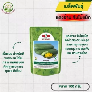 เมล็ดพันธุ์ แตงร้าน จัมโบ้แม็กซ์ ขนาด 100 กรัม ตราศรแดง ลูกสวย ทรงกระบอก กรอกถุงง่าย ปลูกได้ทุกพื้นที่ และทุกฤดู