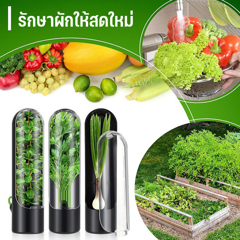 กล่องถนอมผัก ทรงกระบอก ประหยัดพื้นที่ ช่วยถนอมให้ผักสดนานกว่าเดิม ไม่ทำให้ผักช้ำ