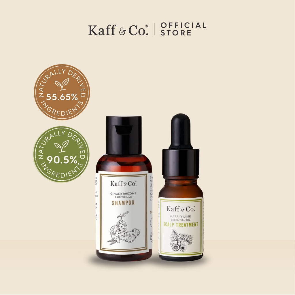 [FREE GIFT ระหว่างวันที่ 1-31.07] Kaff & Co. ชุดคู่ ลดปัญหาผมมัน หนังศีรษะคัน มีตุ่มอักเสบ แชมพูขิง  & ทรีทเม้นท์มะกรูด