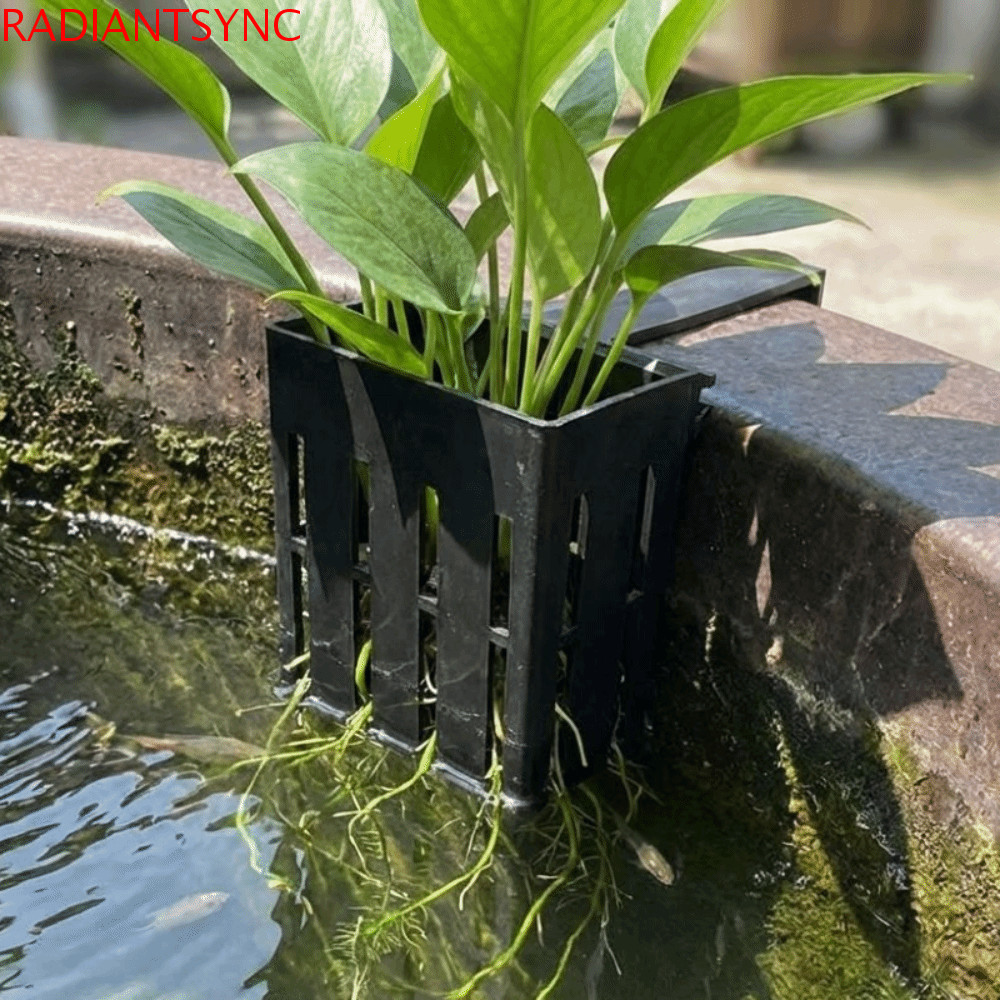 RADIANTSYNC Hydroponic แขวนชาวไร่ติดผนังตะกร้าพืชพิพิธภัณฑ์สัตว์น้ํา, วัฒนธรรมน้ํา Planter รดน้ําต้นไม้พลาสติกปลูกกระถางตู้ปลา