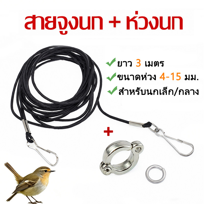 🦜เชือกนก พร้อมห่วงนก ตัวล็อคห่วง ชุด3อย่าง 3mสายยืดคล้องขานก นกแก้ว ฟอพัส หงษ์หยก เลิฟเบิร์ด ค๊อกคาเทล