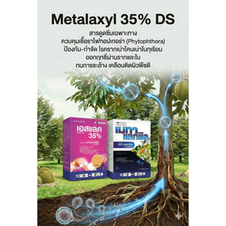 [แมมมอธ] 1กก เมทาแลกซิล 35 - เมทาแลกซิล 35% DS ขนาด 1 กิโลกรัม สารกําจัดเชื้อราประเภทดูดซึม กำจัดไฟท็อป รากเน่า โคนเน่า