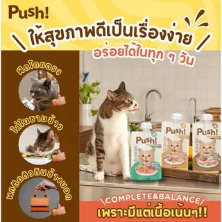 [ยกกล่อง 10 ซอง] Push พุช อาหารเปียกแมว สูตร Complete & Balanced เนื้อมูสนุ่ม ทานง่าย ขนาด 100 กรัม