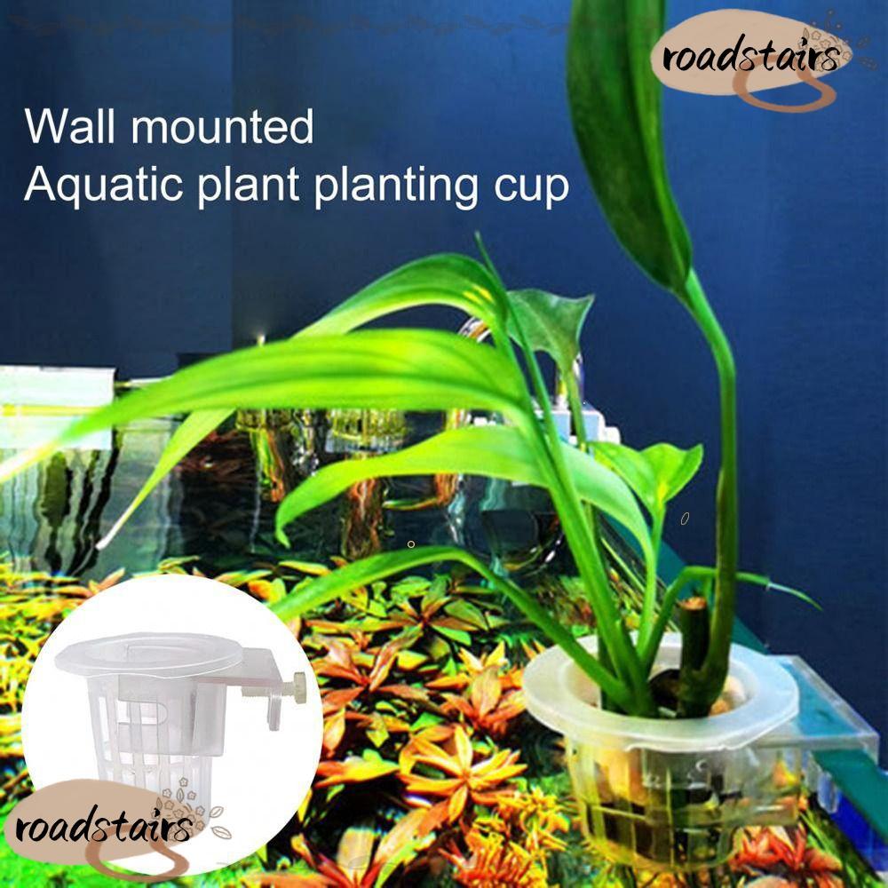 ROADSTAIRS 2 ชิ้นถังปลา Planter ถ้วย,พร้อมรูปรับแขวน Aquarium ผู้ถือพืช,ที่มีประโยชน์ ABS Aquascape 