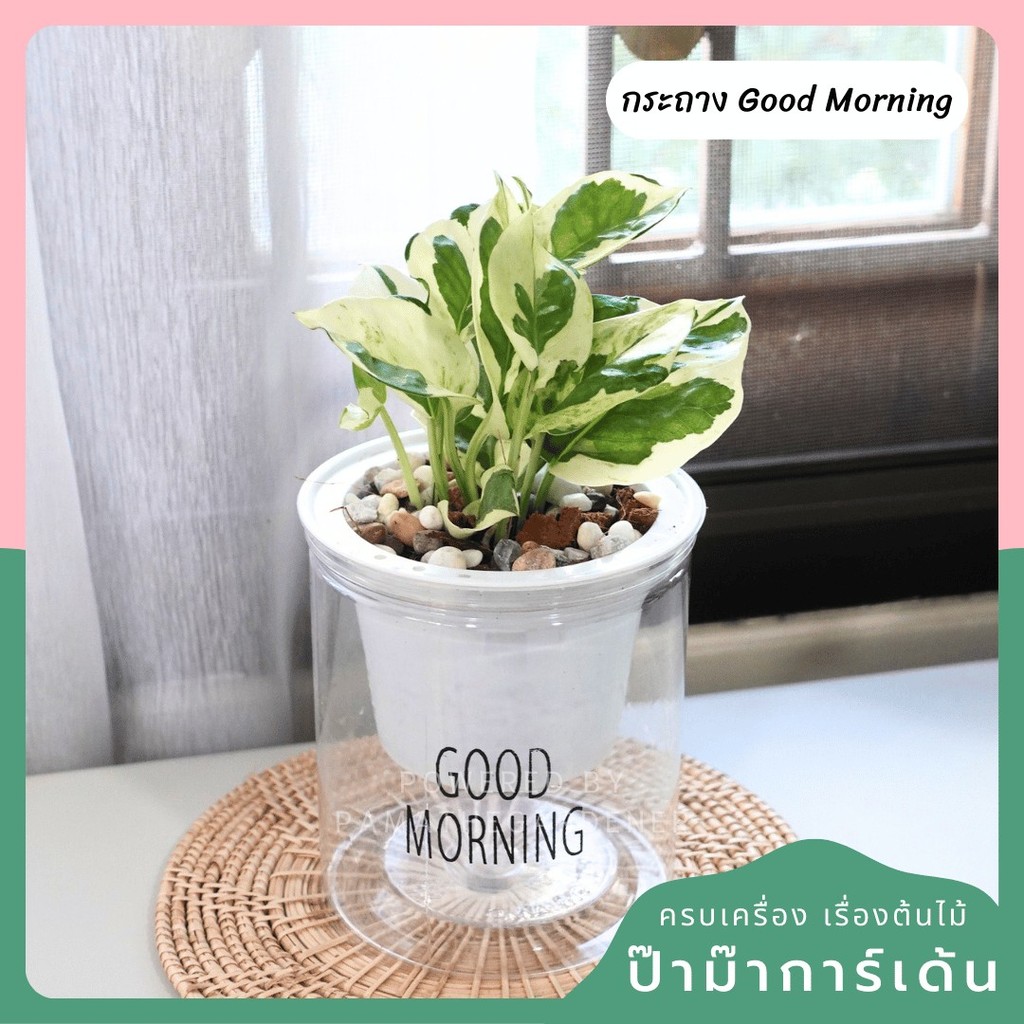 มุมมอง 5