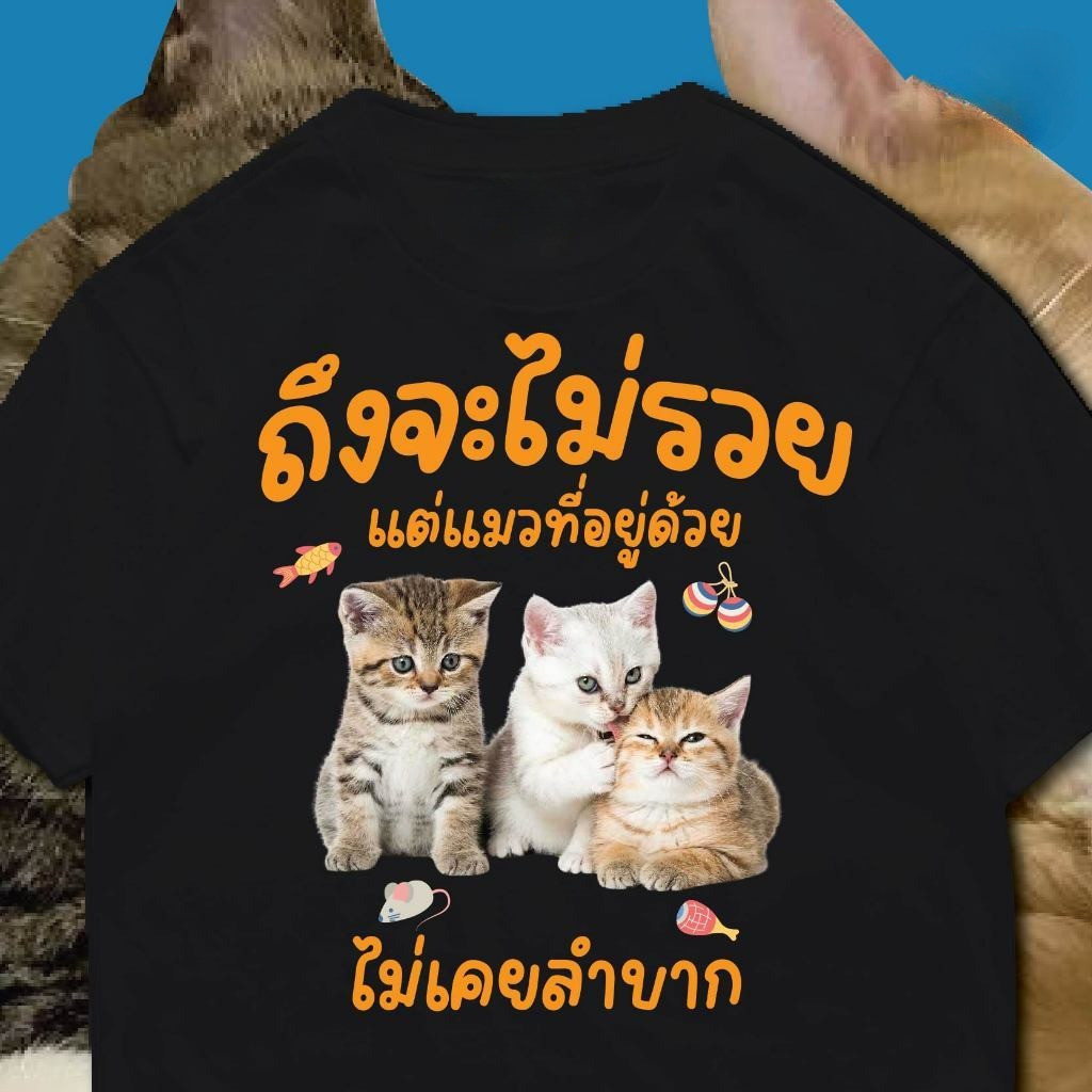 YOUNG T ( พร้อมส่งเสื้อเฮีย ) M~3XL  เสื้อ ถึงจะไม่รวย แต่แมวที่อยู่ด้วย หลากสี ผ้าCotton 100% ราคา ถูกที่สุด ดีลบีเคเค แกลเลอรีภาพที่ 8