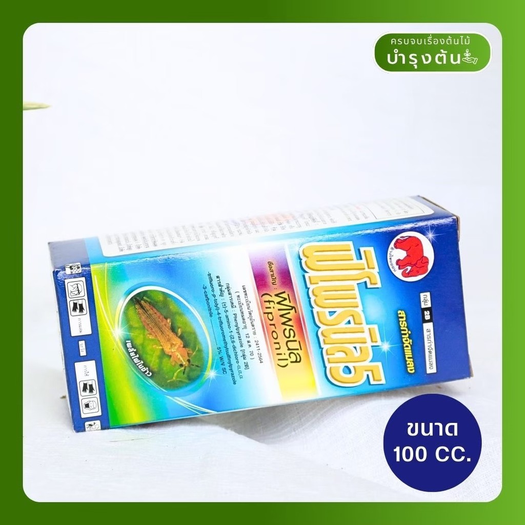 มุมมอง 2