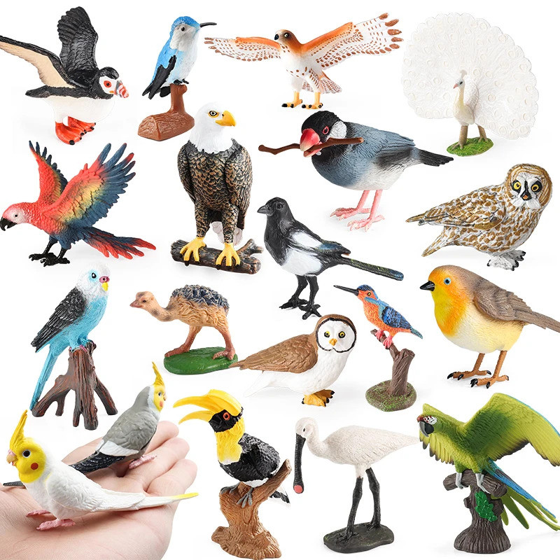 Forest Bird สัตว์ Wild Magpie นกฮูก Eagle Robin Parrot Figurines Action Figure PVC ตกแต่งสวน Miniature ของเล่นเด็ก
