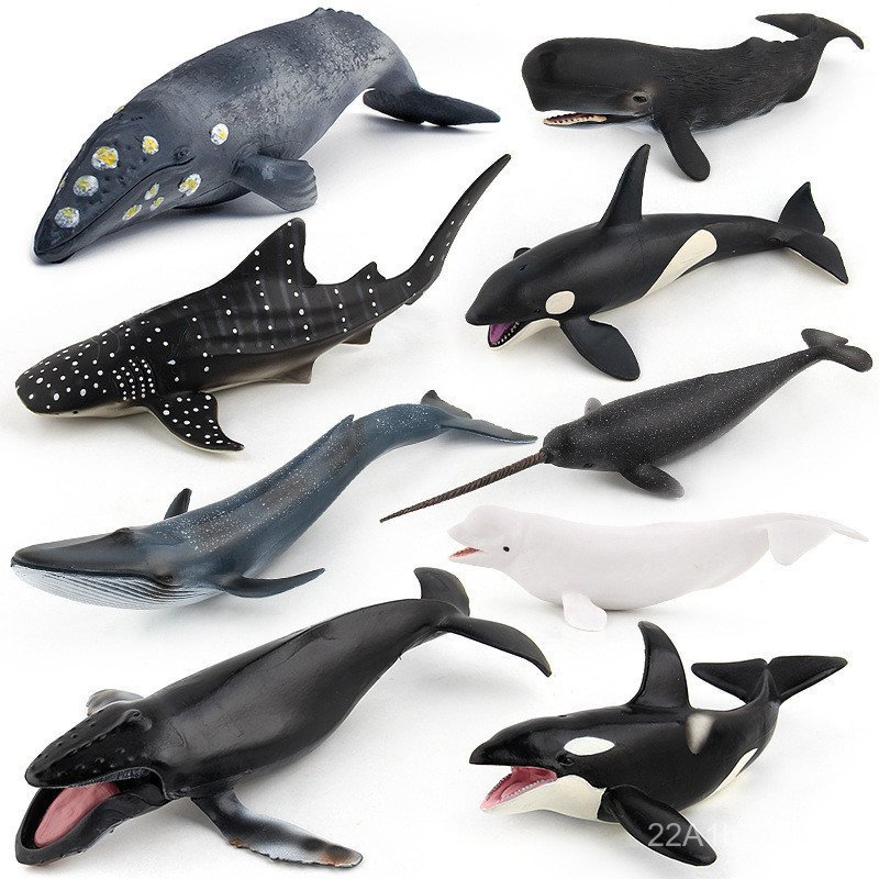 จําลอง Static Solid PVC Whale Shark Fragrant Whale Blue Whale Sea Life สัตว์ตกแต่งของเล่นเด็ก 9 รูปแ