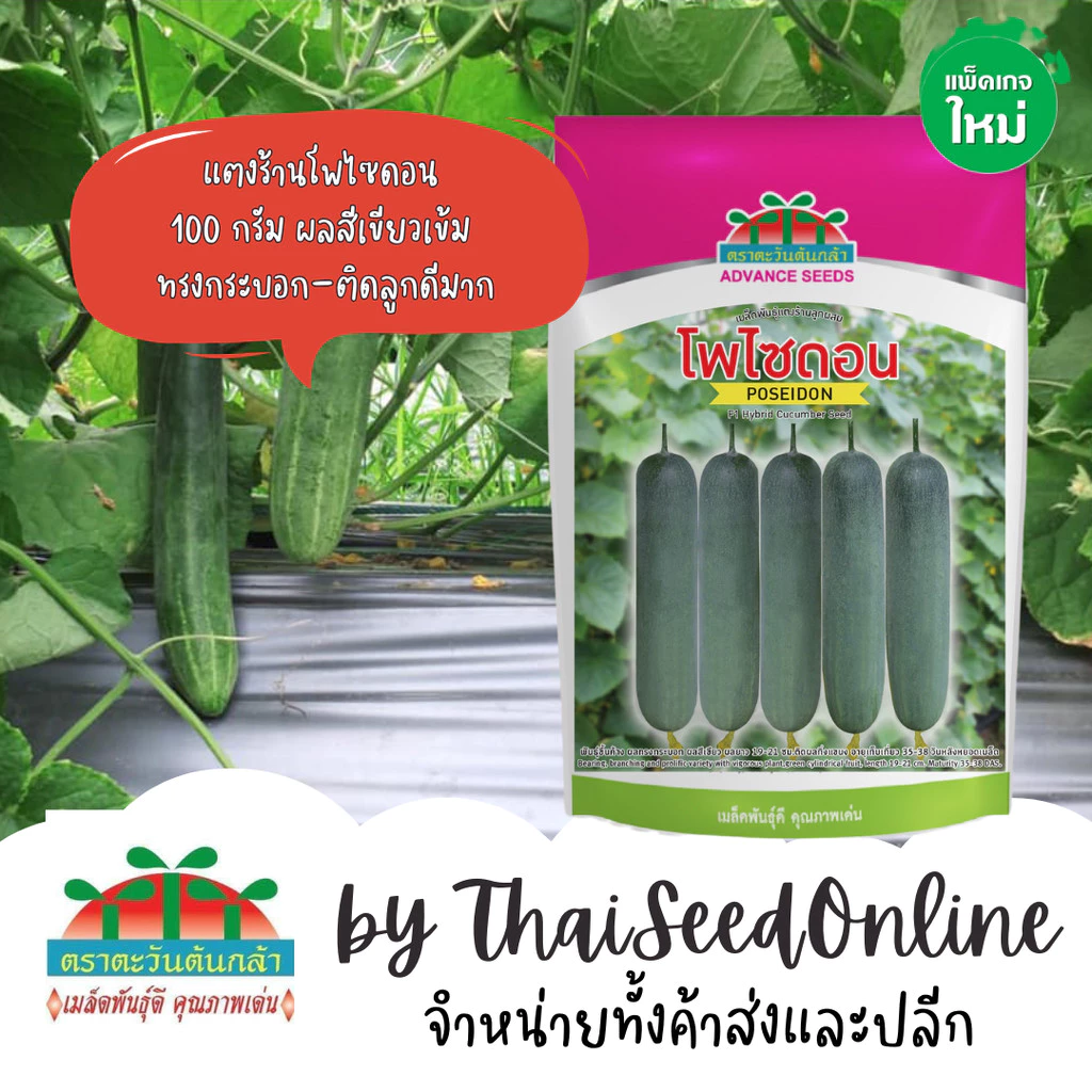 Advance Seeds(ตราตะวันต้นกล้า) ADV กป 100กรัม เมล็ดพันธุ์แตงร้าน โพไซดอน 100 กรัม ตราตะวันต้นกล้า Cucumber F1
