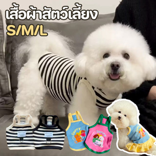 เสื้อผ้าสัตว์เลี้ยง เสื้อผ้าแมว ชุดหมาเล็ก  แบบบาง ดแมวและสุ…