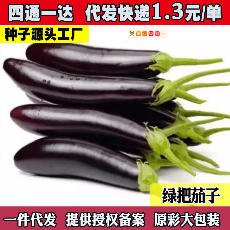 现货绿把长茄种子绿萼茄子种籽露天大棚紫黑色产量高四季蔬菜黑钸莉Green-handled long eggplant seeds, green-calyx eggplant seeds, for ou