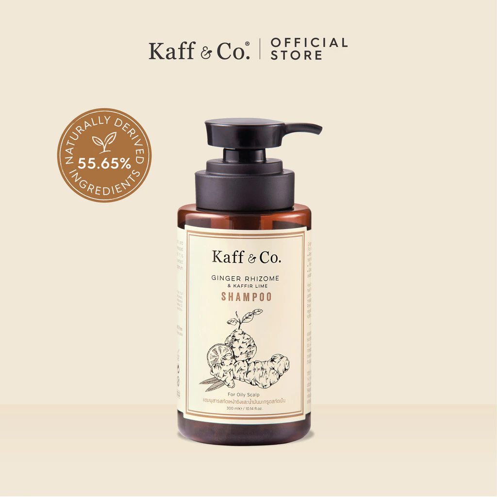 [2 ชิ้นเก็บโค้ดลดเพิ่ม] Kaff & Co. แชมพูสำหรับผมมัน ผมลีบแบน มีกลิ่นอับ ลดผมร่วง แชมพูสารสกัดเหง้าขิงและน้ำมันมะกรูด