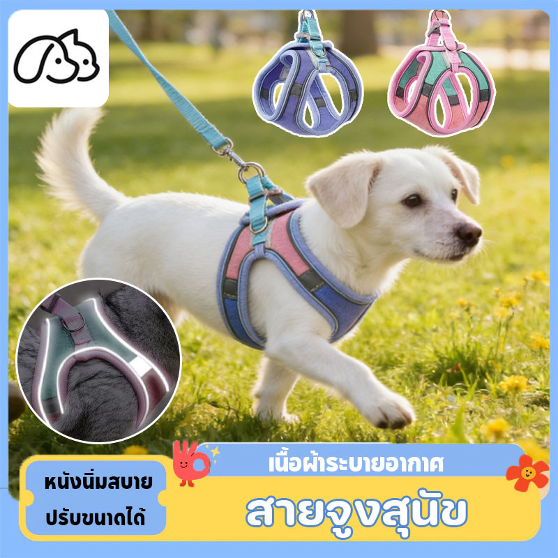 เชือกจูงแมว สายจูงสุนัข แถบสะท้อนแสงกลางคืน หนังนิ่มสบาย หนังนิ่มสบาย เนื้อผ้าระบายอากาศ