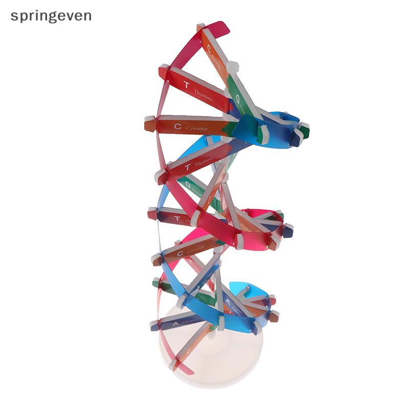 Springeven Human Genes DNA รุ่น Double Helix ของเล่นวิทยาศาสตร์การสอนการเรียนรู้การศึกษาของเล่น RFT