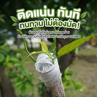 เทปพันกิ่งไม้ PE อย่างดี (เซท 5/10 ม้วน) ยาว 200 เมตร พันง่าย ไม่ต้องผูกปม กันน้ำ กันเชื้อรา เลือกขนาดได้ 3-6 ซม.