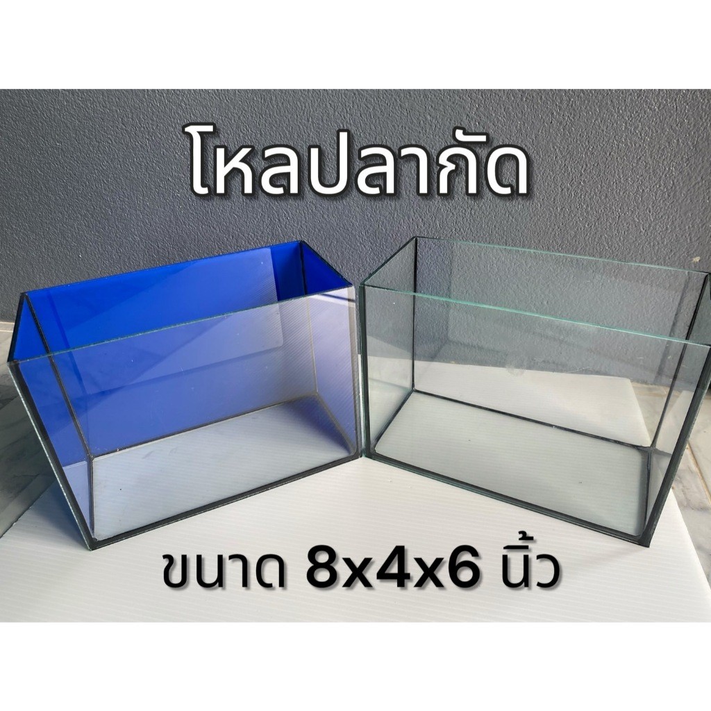 โหลปลากัด ขนาด 8x4x6นิ้ว กระจกหนา 3 มิลลิเมตร  โหลปลากัด ตู้ปลาขนาดเล็ก (1ใบ)