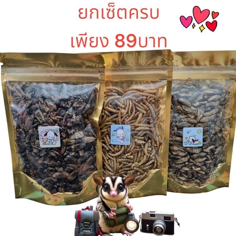 ส่งด่วน! รวมแมลงอบเเห้ง 100กรัม ยกเซ็ต หนอน จิ้งหรีด สะดิ้ง 3ซอง สุดคุ้ม โปรตีนสูง ไร้น้ำมัน