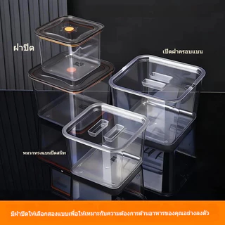 จัดส่งที่รวดเร็วจากกรุงเทพฯ กล่องเก็บอาหาร ภาชนะปรุงรส วัสดุ PET ถาดหลุมใส่อาหาร สําหรับใส่เครื่องปรุงรส เลือกหลายขนาด