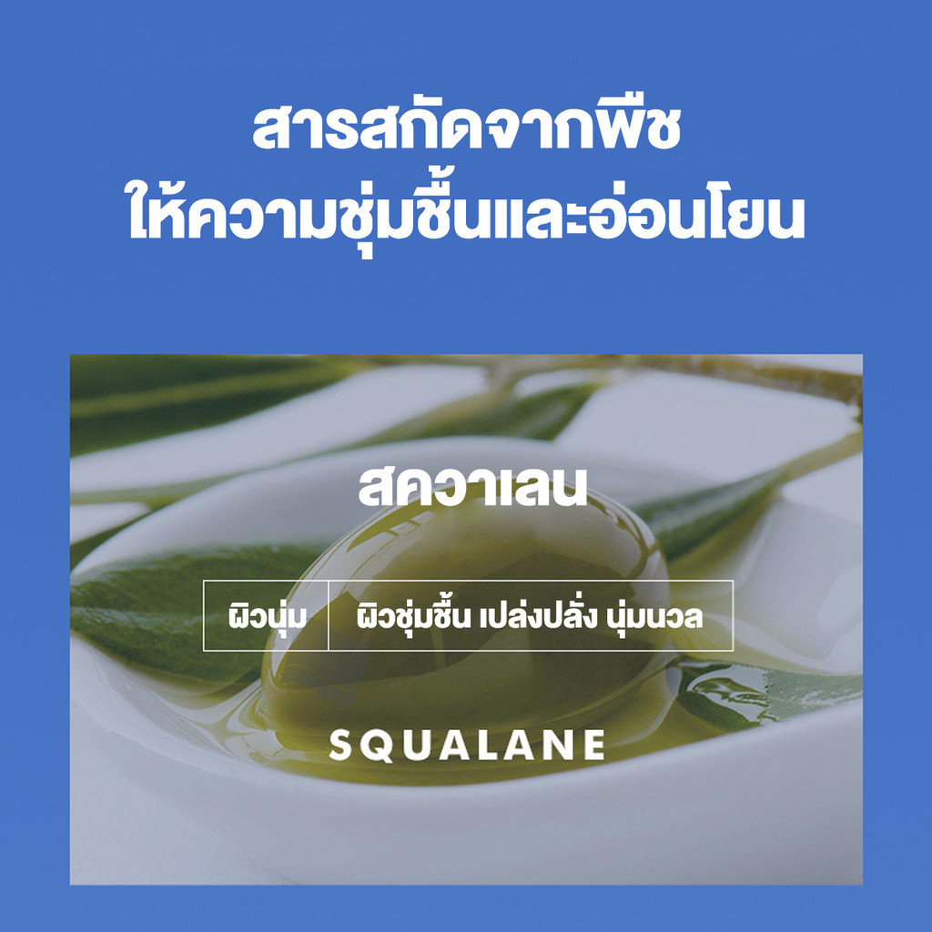 รูปภาพ 7