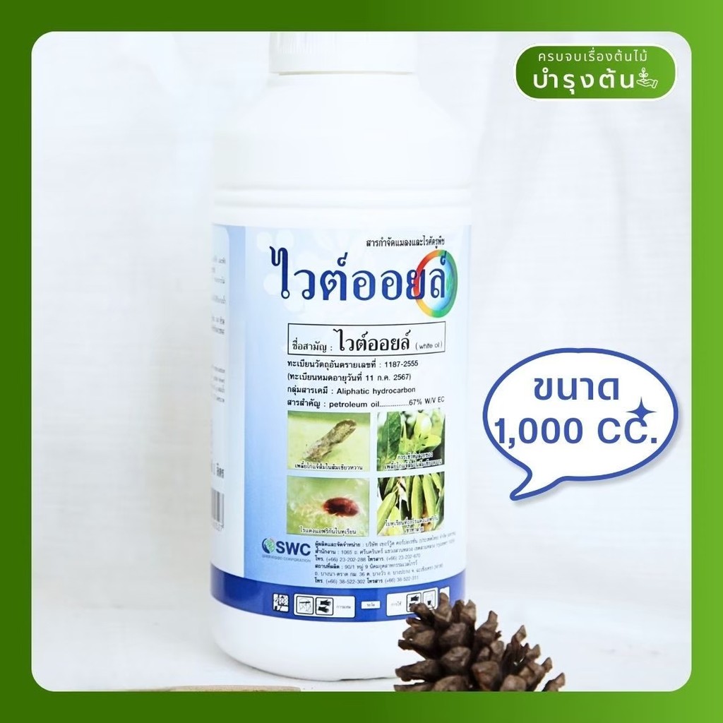 มุมมอง 3