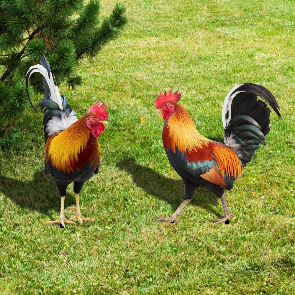 AUGUSTINA รูปปั้นไก่, การ์ดไก่หน้ากระจกอะคริลิค, ของเล่นเด็กกันสนิมสามมิติกันน้ําที่น่าสนใจกลางแจ้ง