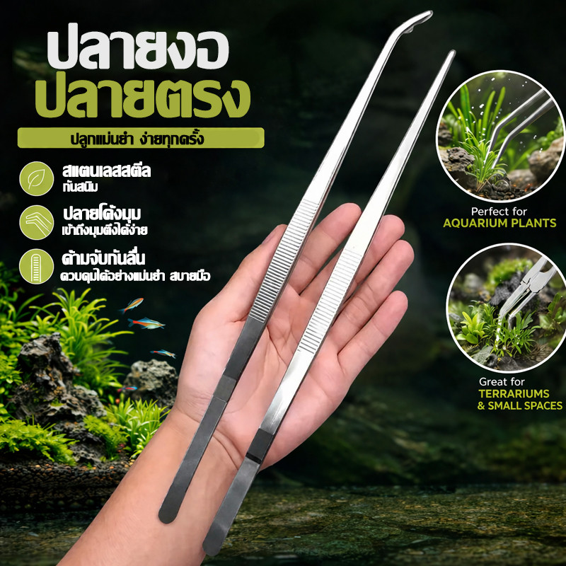 ฟอเซป ปากคีบ ที่คีบฟอเซป แหนบสแตนเลส ปลายงอ ปลายตรง ตกแต่งตู้ปลา ให้อาหารสัตว์[14/20/25/27/30 ซม.]