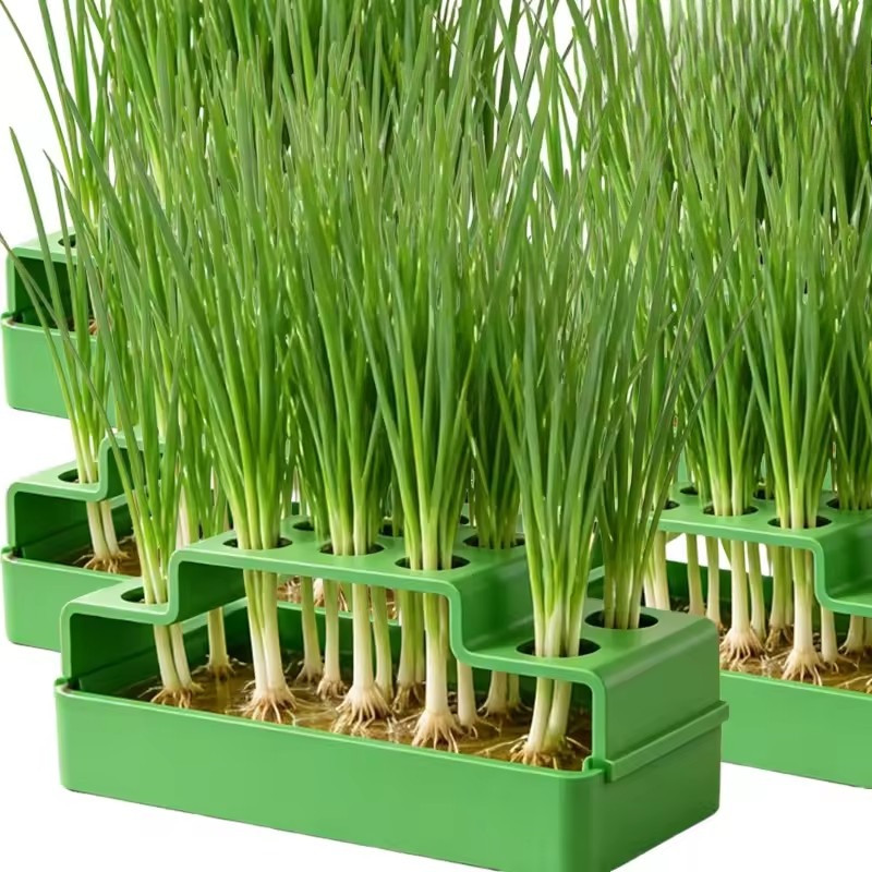 Chive Garlic Sprouts ถาดต้นกล้าสากล - ชาวไร่ไฮโดรโปนิกส์พิเศษ Scallion 14 หลุม
