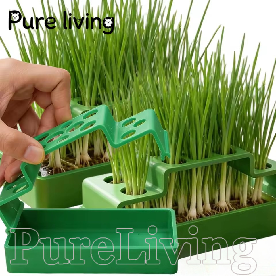 [Pure Living] ชาวไร่ไฮโดรโปนิกส์พิเศษ Scallion 14 หลุม - ภาชนะเพาะกล้าไร้ดินสําหรับต้นกล้ากุ้ยช่าย
