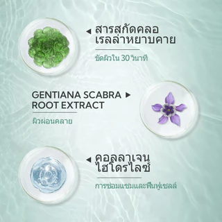 SHE Eureka เจลขัดผิว 50g x3 สูตรสมุนไพร Exfoliating Gel ผิวเรียบเนียน ลดความหมองคล้ำ เซ็ตสุดคุ้ม
