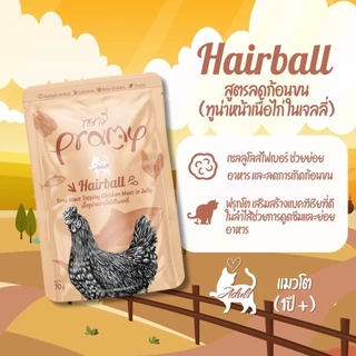 [ยกโหล12ซอง] Pramy อาหารเปียกแมวพรามี่ ขนาด 70กรัม ส่งไว (คละรสชาติได้)