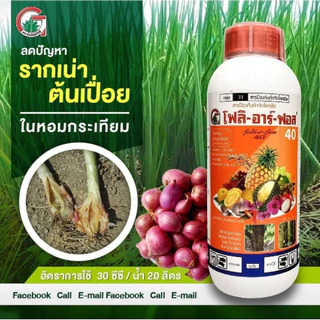 โฟลิอาร์ฟอส 400 1ลิตร ฝังเข็มทุเรียน กรดฟอสโฟนิก สารกำจัดเชื้อรา รากเน่า โคนเน่า โรคพืช