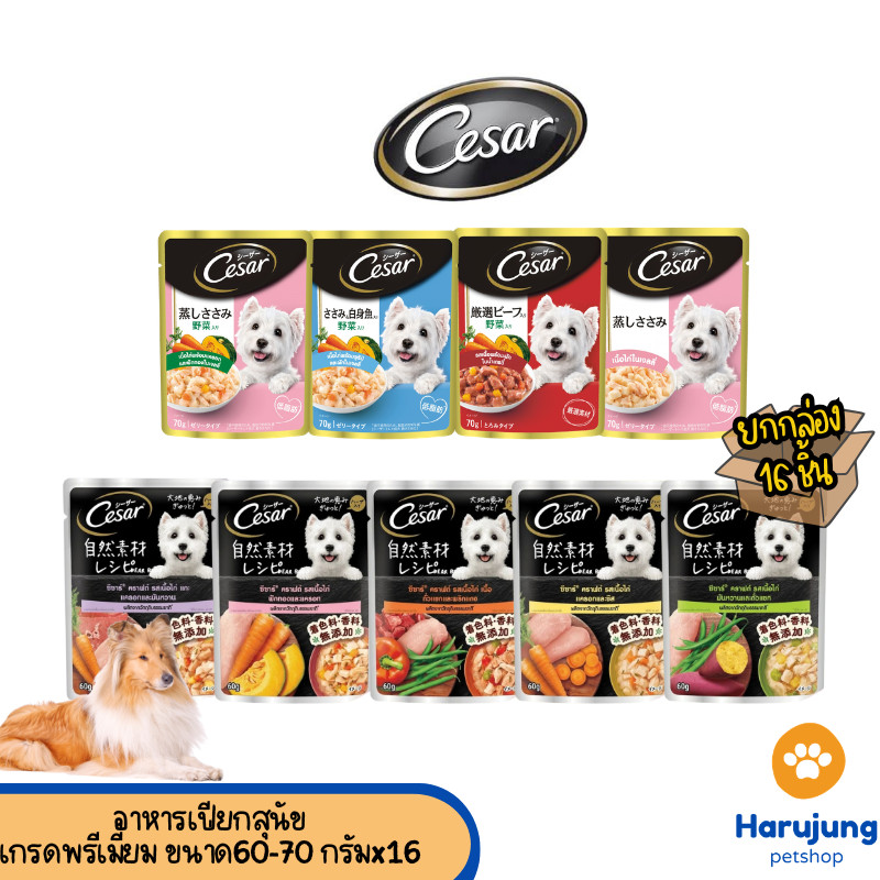 Cesar/Cesar craft  อาหารเปียกสำหรับสุนัข  [ ยกกล่อง 16 ซอง ] ขนาด 60-70 กรัม