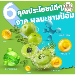 [1ขวด] ยาแก้ไอผสมมะขามป้อม ขับเสมหะ ทำไห้ชุ่มคอ ตราวังหลัง 120ml. jj.