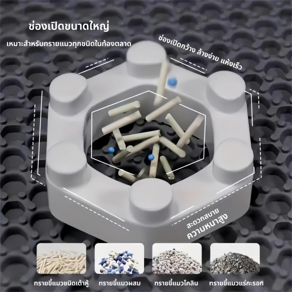 รูปภาพ 4