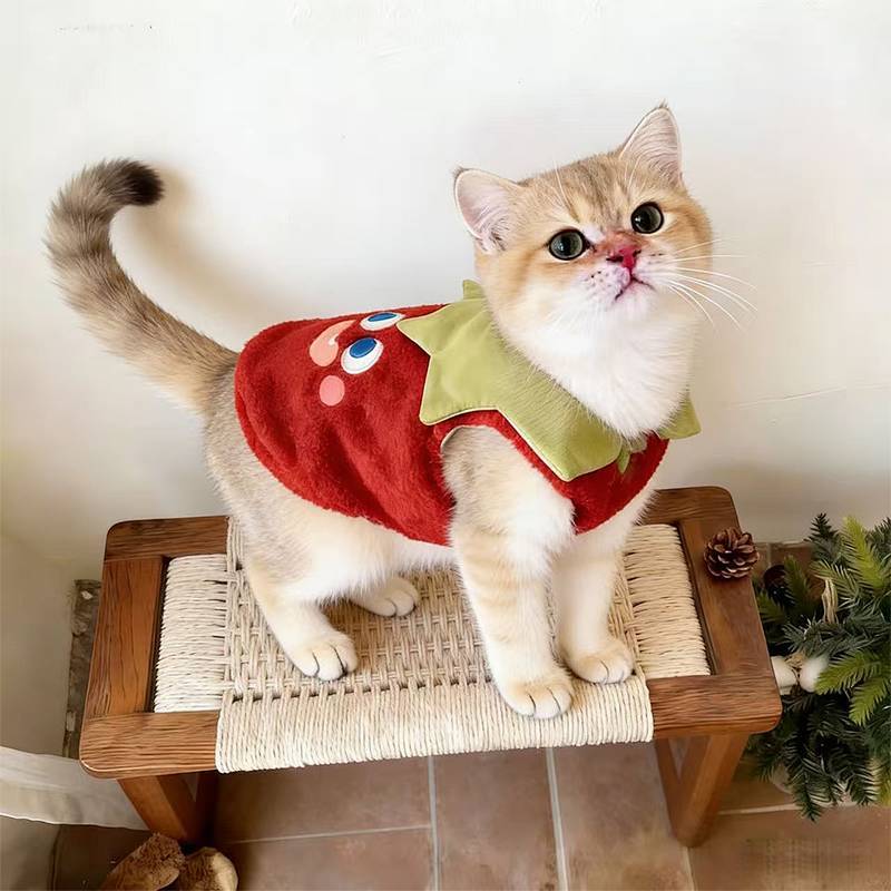 Cat Festive Red Strawberry Vest Autumn and Winter Cute Pet Thickened Hairless Cat Orange Tabby Cat N