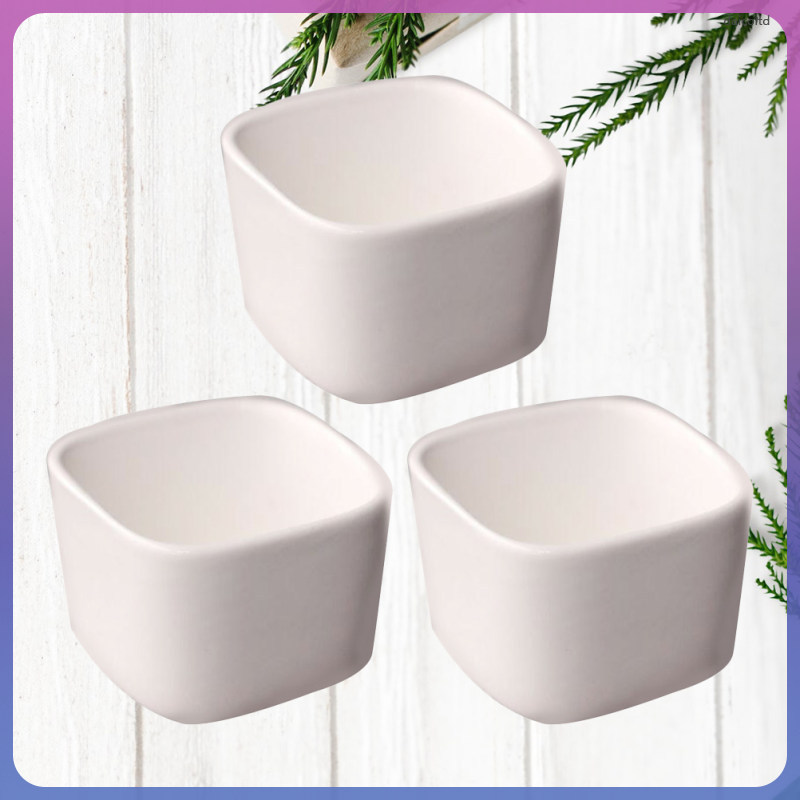 กระถางดอกไม้ Mini Cactus Pots White Plant Terracotta daicoltd